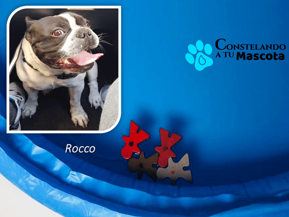 constelacion fluvial mascotas 4
