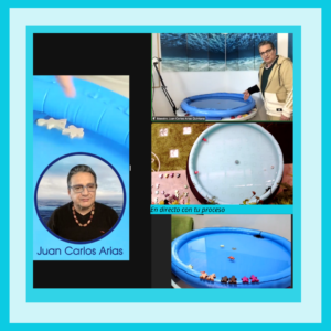 Formación en Constelaciones Fluviales