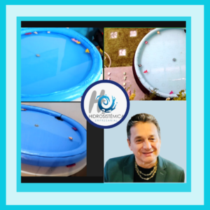 Formación en Constelaciones Fluviales -Inscripción