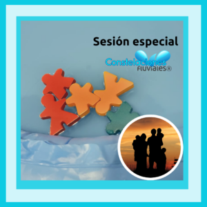 Sesión individual-Constelaciones Fluviales-Equipo